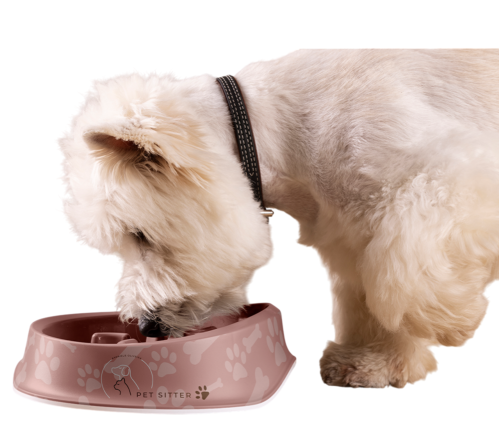 Professional Pet Services in Sydney