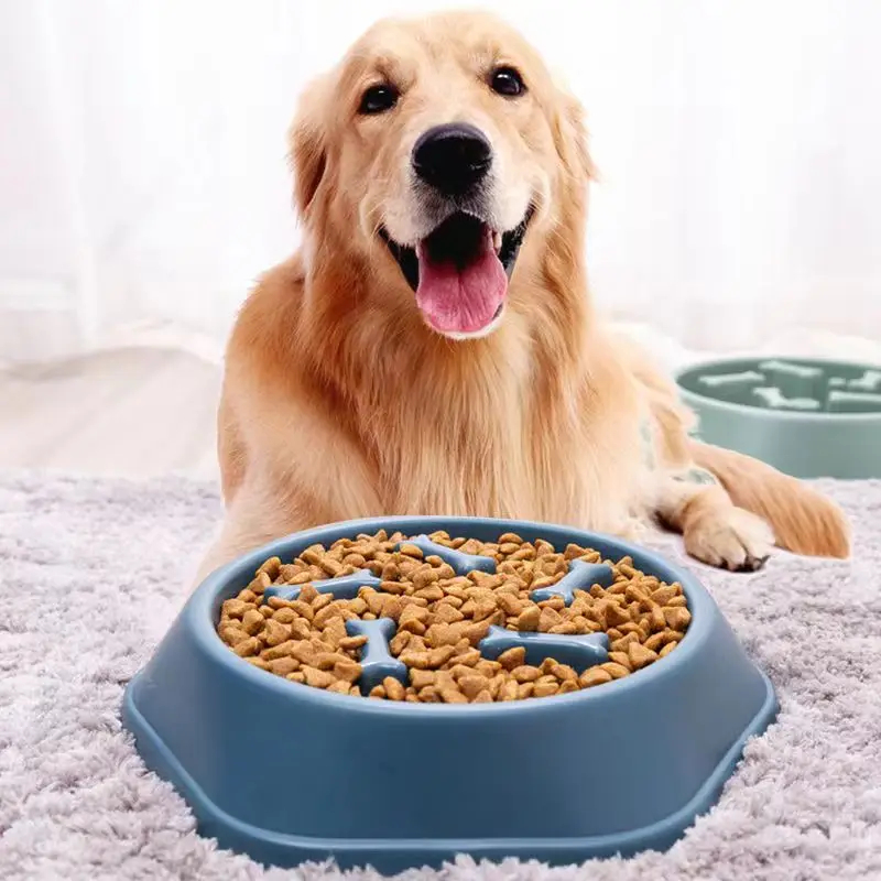 Slow Feeder Dog Bowl for Healthy Eating – Anti-Choke Design